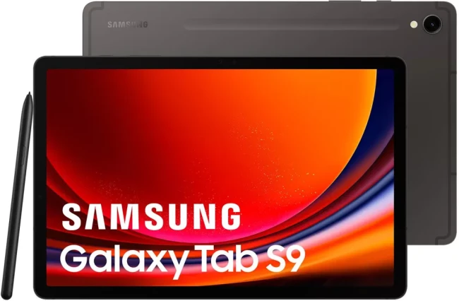 Планшет Samsung Galaxy Tab S9 5G SM-X716 12GB/256GB (графитовый)