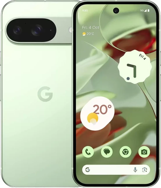 Смартфон Google Pixel 9 12GB/128GB (винтергрин)