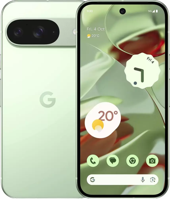 Смартфон Google Pixel 9 12GB/256GB (винтергрин)